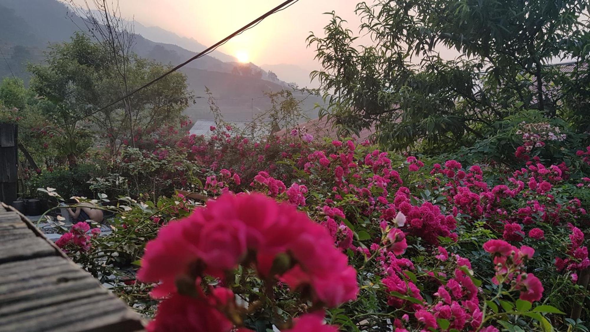 Tavan View Homestay Sapa Dış mekan fotoğraf