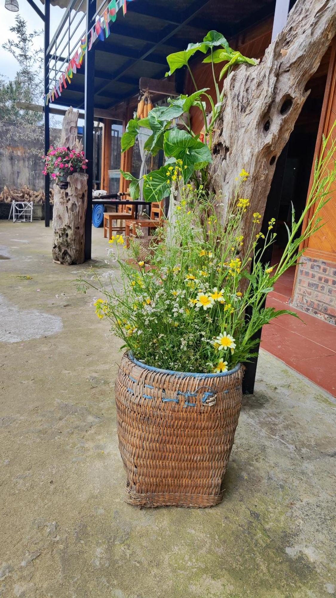 Tavan View Homestay Sapa Dış mekan fotoğraf